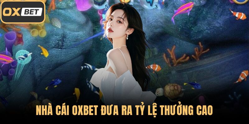 Nhà cái OXBET đưa ra tỷ lệ thưởng cao