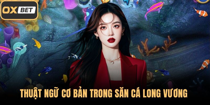 Thuật ngữ cơ bản trong săn cá Logn Vương 